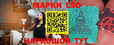 стаф Новозыбков