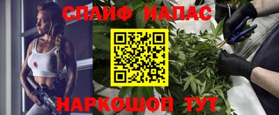 стаф Новозыбков