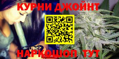 стаф Новозыбков