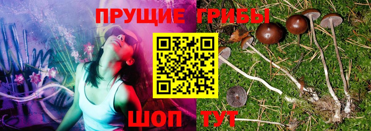 Псилоцибиновые грибы ЛСД Родники