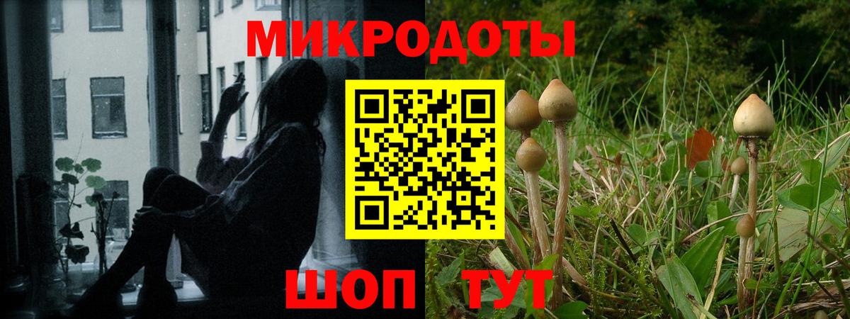 Галлюциногенные грибы мухоморы  Вход с VPN  Родники  Псилоцибиновые грибы Cubensis 
