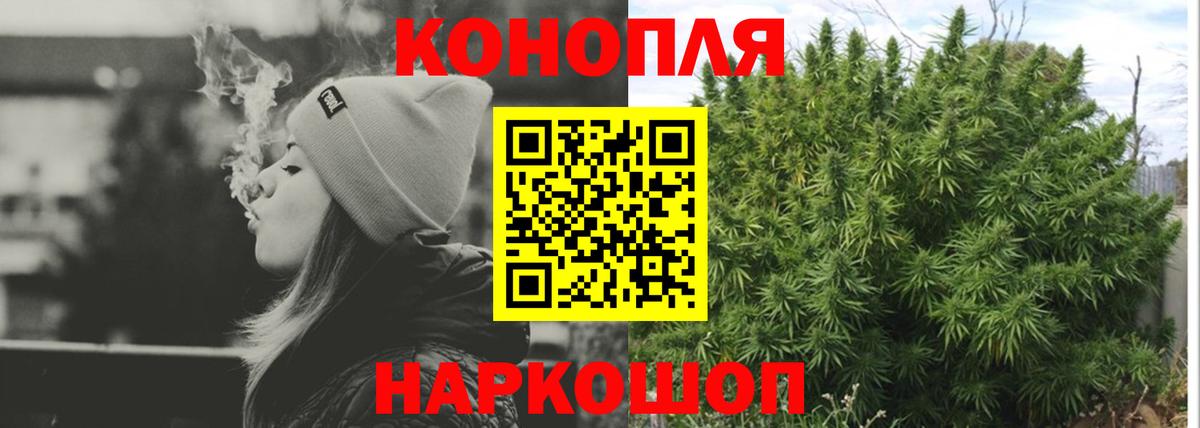 Бошки Шишки конопля Родники